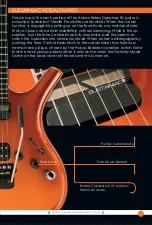 Preview for 15 page of Parker Adrian Belew Signature Fly Owner'S Manual