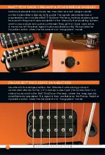 Preview for 16 page of Parker Adrian Belew Signature Fly Owner'S Manual