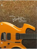 Parker Fly Artist Brochure preview