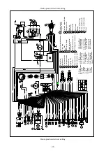 Предварительный просмотр 33 страницы Parsun F60 BEL-D Service Manual