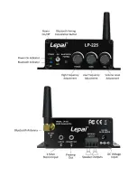 Preview for 3 page of Parts Express Lepai LP-225 User Manual