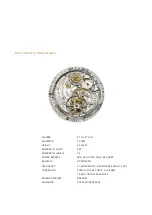 Preview for 9 page of Patek Philippe 5207 Manual