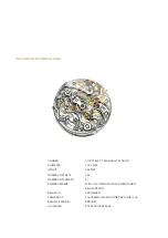 Preview for 7 page of Patek Philippe 7059 Manual