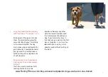 Preview for 7 page of PatentoPet DOG-e-walk User Manual