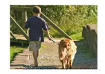 Preview for 15 page of PatentoPet DOG-e-walk User Manual