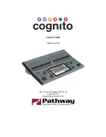 pathway Cognito User Manual предпросмотр