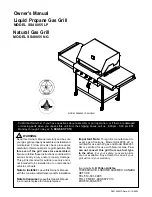 Patio Chef SS48055 LP Owner'S Manual preview