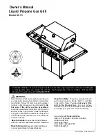 Preview for 1 page of Patio Chef SS73 Owner'S Manual