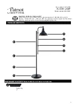 Patriot Lighting DS18461 Manual preview