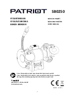 Preview for 1 page of Patriot SB0250 User Manual