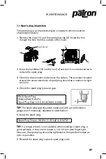 Предварительный просмотр 27 страницы Patron GI-3500P User Manual