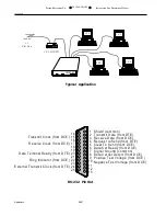 Предварительный просмотр 13 страницы Patton electronics 3012/V24, 3014/V24, 3018/V24 Installation And Operation Manual