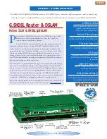 Patton electronics 3224 Diamond Edge Specification Sheet предпросмотр