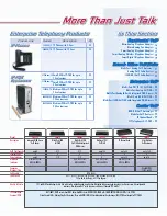 Предварительный просмотр 2 страницы Patton electronics SL402X Specification Sheet