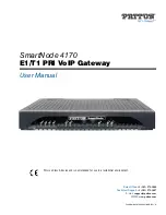 Patton electronics SmartNode 4170 User Manual предпросмотр