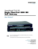 Patton Smart Node 4120 User Manual preview