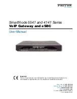 Patton SmartNode 4141 Series User Manual preview