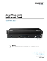 Patton SmartNode 4300 User Manual preview