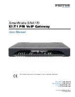 Patton SmartNode SN4170 User Manual preview