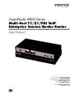 Patton SmartNode SN4960 User Manual предпросмотр