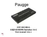 Предварительный просмотр 1 страницы Paugge ENT-SW20B4A User Manual