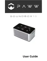 PAWW SOUNDBOX10 User Manual предпросмотр