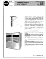 Payne 394gad Specification preview