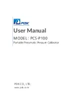 Preview for 1 page of PDK PCS-P100 User Manual