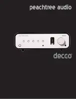 Peachtree Audio Decco2 Owner'S Manual предпросмотр