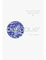 Peachtree Audio deepblue2 Owner'S Manual предпросмотр