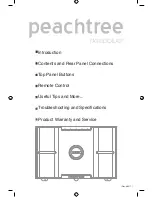 Preview for 3 page of Peachtree Audio deepblue3 Owner'S Manual