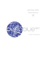 Peachtree Audio deepblueSKY Owner'S Manual предпросмотр