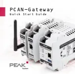 Peak IPEH-004010 Quick Start Manual предпросмотр