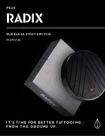 Peak RADIX Manual preview