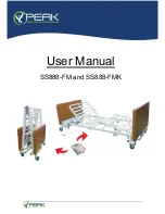 Peak SS888-FM User Manual preview