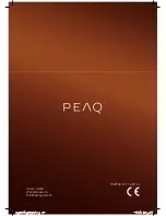 Предварительный просмотр 47 страницы Peaq PDP130 User Manual