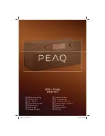 Peaq PDR100 User Manual предпросмотр