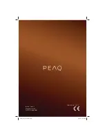 Предварительный просмотр 186 страницы Peaq PDR100 User Manual