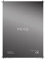 Preview for 101 page of Peaq PDR200 User Manual