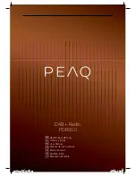 Preview for 1 page of Peaq PDR300 User Manual