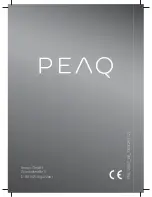 Preview for 121 page of Peaq PPA120BT-B User Manual