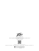 Preview for 12 page of Peavey 03617090 Manual