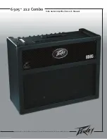 Предварительный просмотр 1 страницы Peavey 6505 212 Combo Owner'S Manual