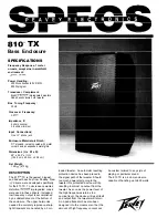 Peavey 810 TX Specifications preview