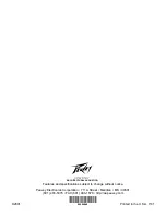 Preview for 20 page of Peavey AAM 2443 User Manual