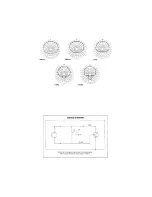 Preview for 3 page of Peavey AAM 250 Specifications