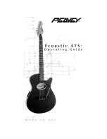 Peavey ATS Ecoustic Operating Manual preview