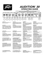 Peavey Audition 30 Operating Manual предпросмотр