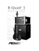 Peavey B-QUAD 5 Operating Manual preview