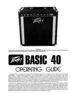 Peavey BASIC 40 Operating Manual предпросмотр